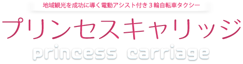 地域観光を成功に導く電動アシスト付き３輪自転車タクシー プリンセスキャリッジ